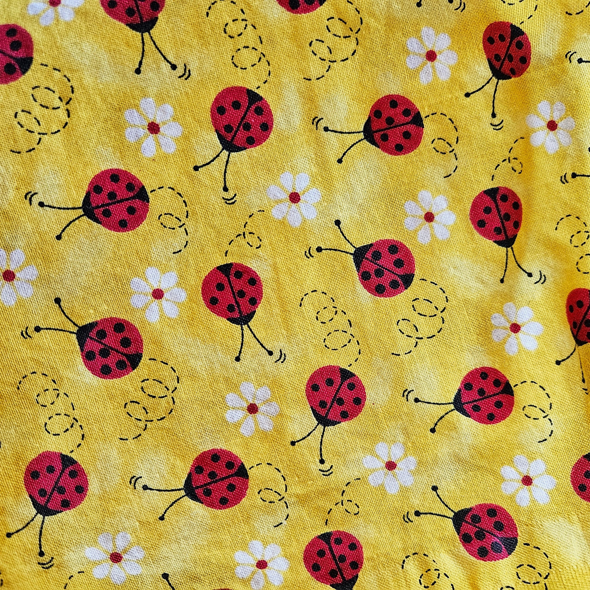 Hot Paw - Ladybugs