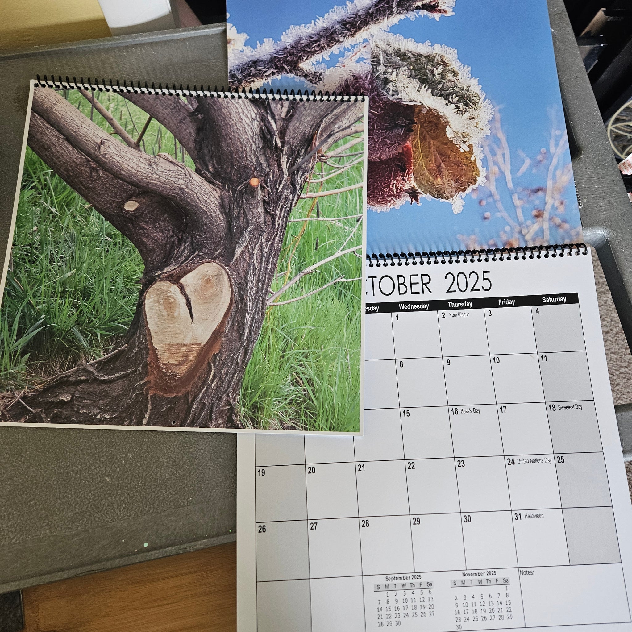 2025 Photo Calendar - 2 sizes AVAILABLE
