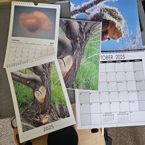 2025 Photo Calendar - 2 sizes AVAILABLE