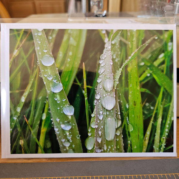 Photocard - Droplets
