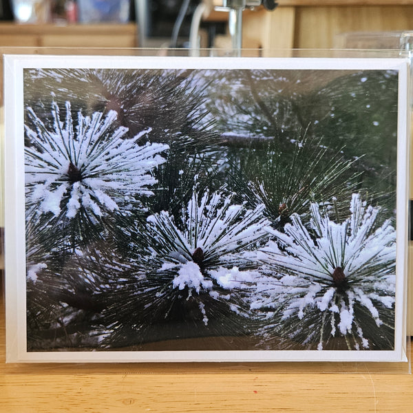 Photocard - 3 Burst