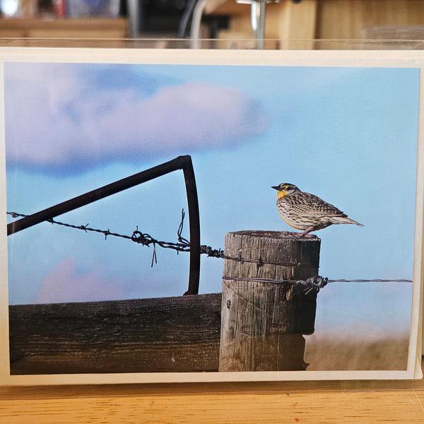 Photocard - Meadowlark