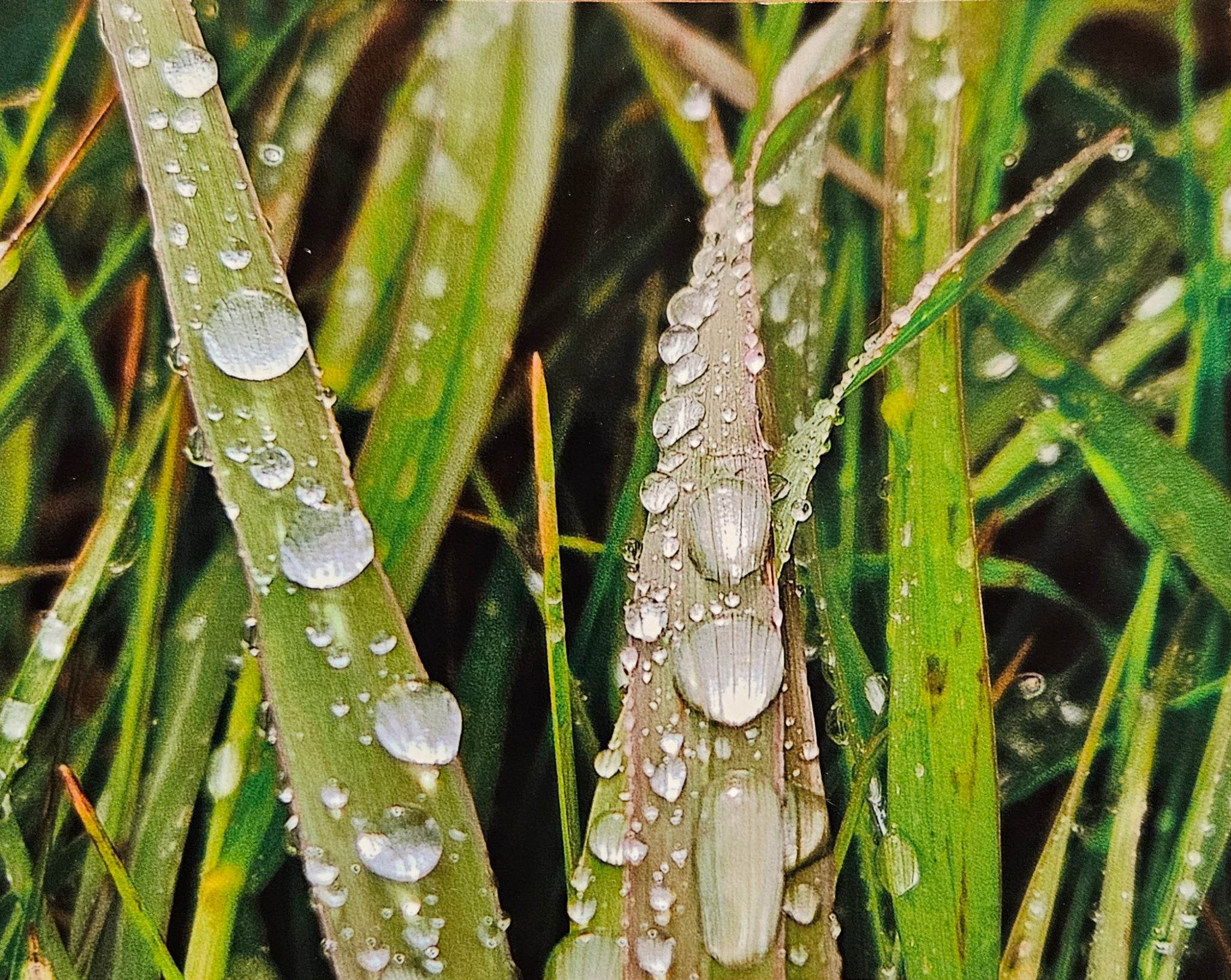 Photocard - Droplets