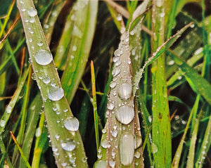 Photocard - Droplets