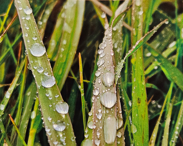 Photocard - Droplets