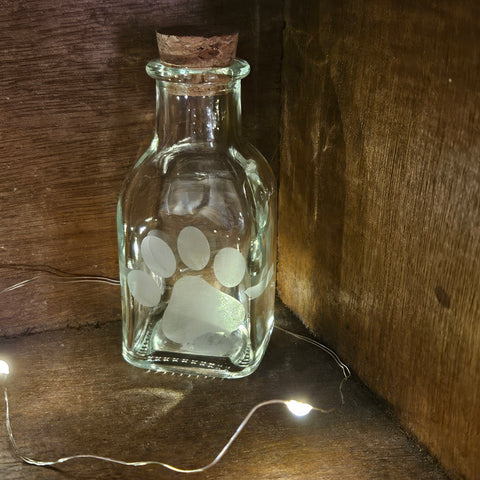 Dream Jar - Big Paw