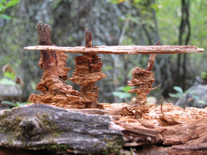Photocard - Pagoda Erosion