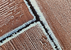 Photocard - Patio Frost