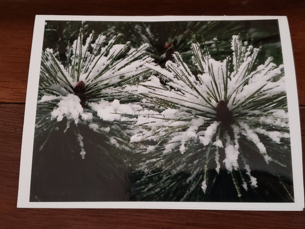 Photocard - 2 Burst