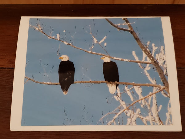 Photocard - Eagle