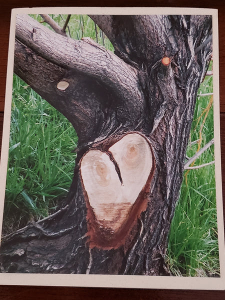 Photocard - Heart