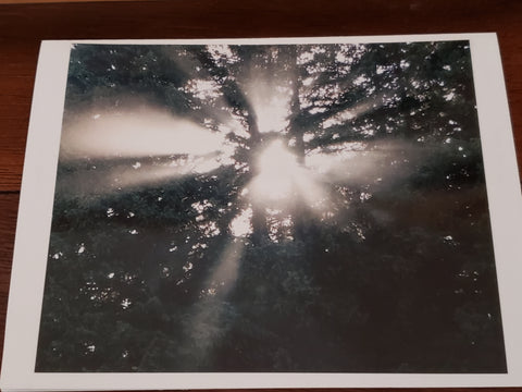 Photocard - Shine