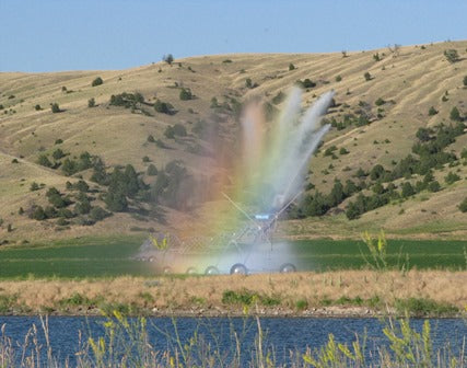 Photocard - Sprinkler Rainbow
