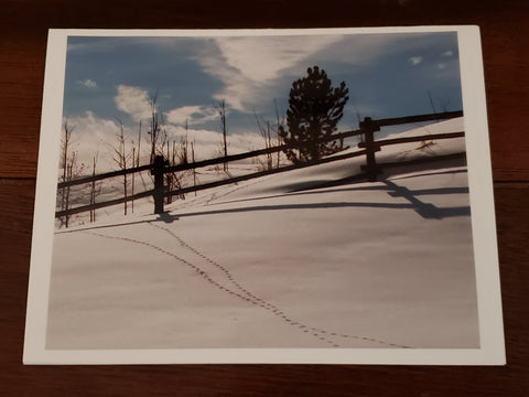 Photocard - Tracks 2