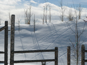 Photocard - Tracks