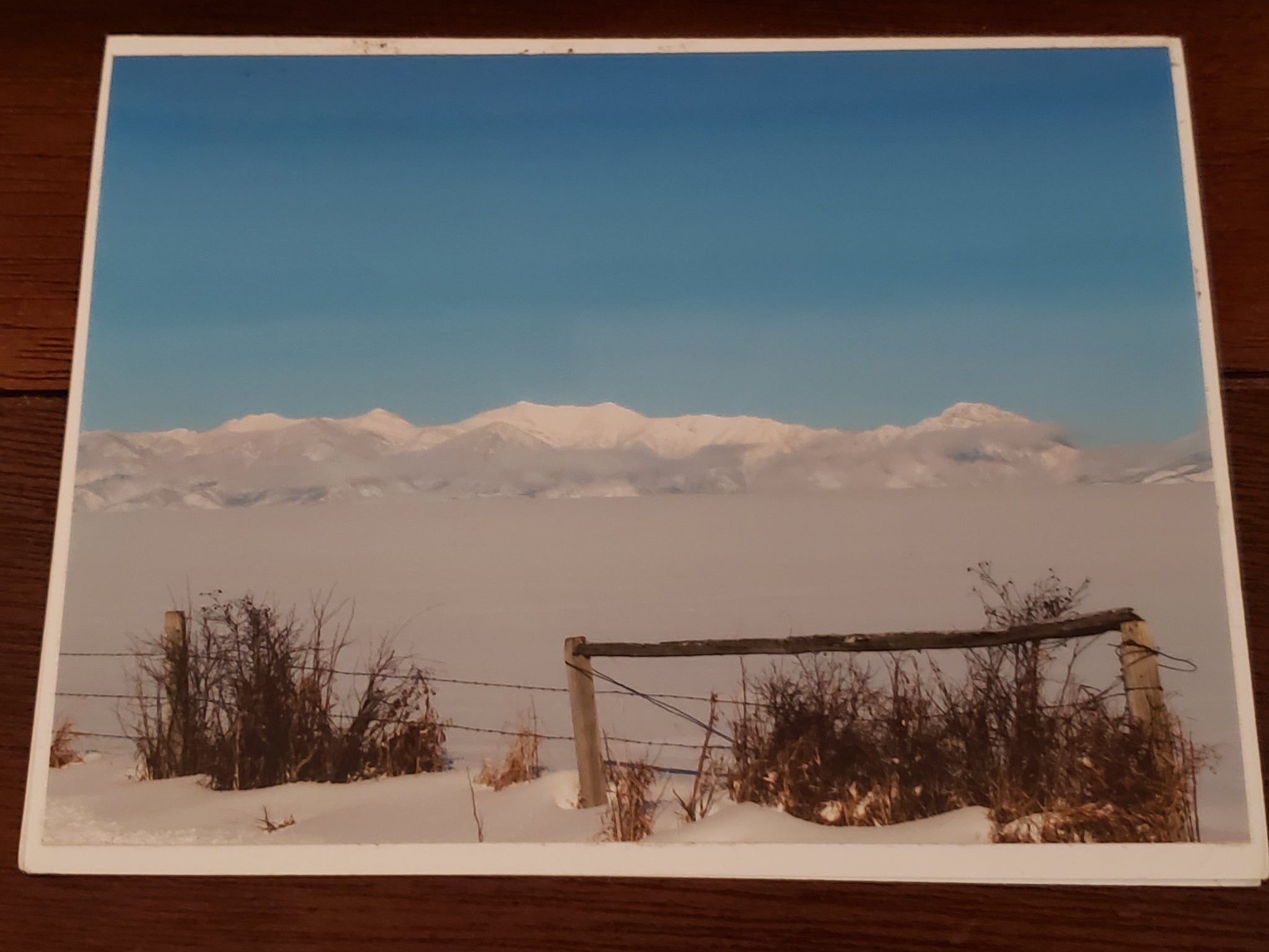Photocard - Snow Fence