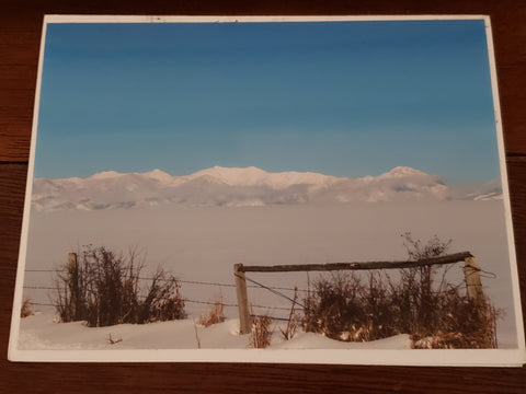 Photocard - Snow Fence